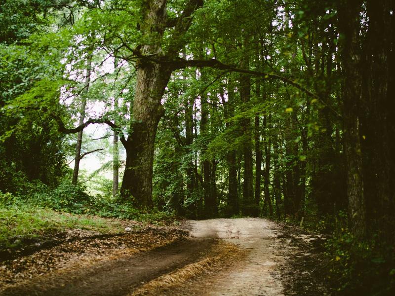 sudoku championship screenshot 6